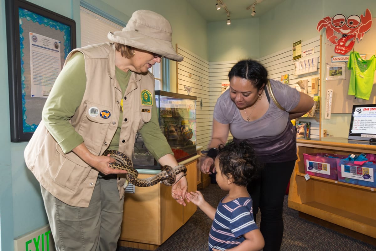 It's snake season in the East Bay, but there's more than one kind of snake in the grass