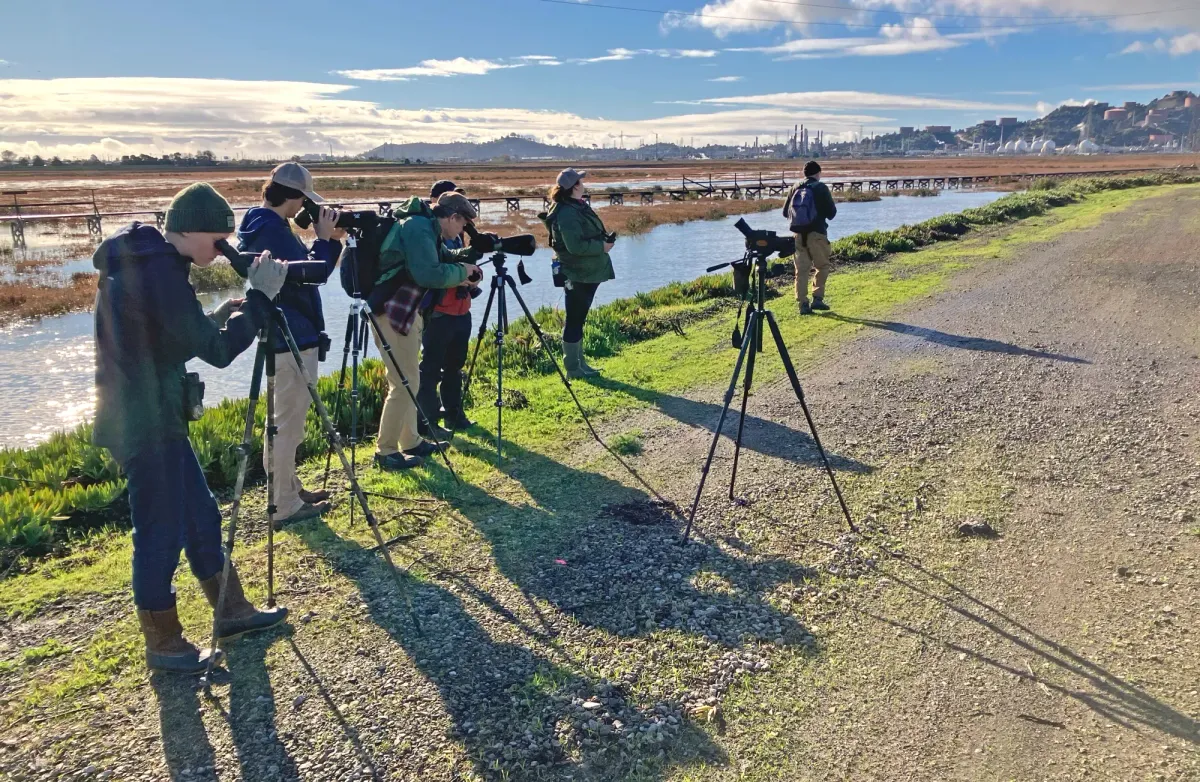 Volunteers document 174 bird species in Richmond’s Christmas Bird Count