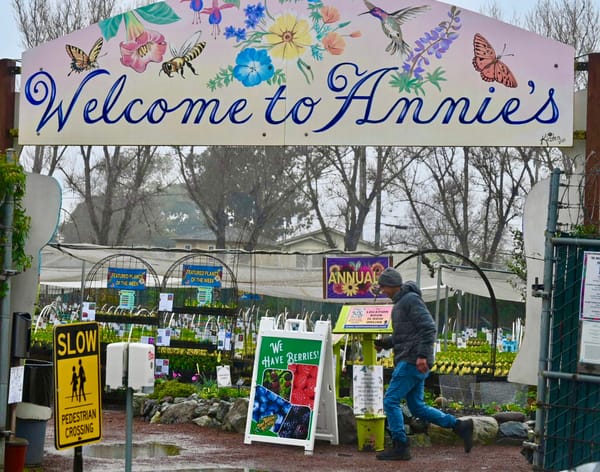 Annie's Annuals offers a low-water garden information event