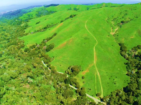 Park district considers mountain bike flow trail at Wildcat Canyon Park