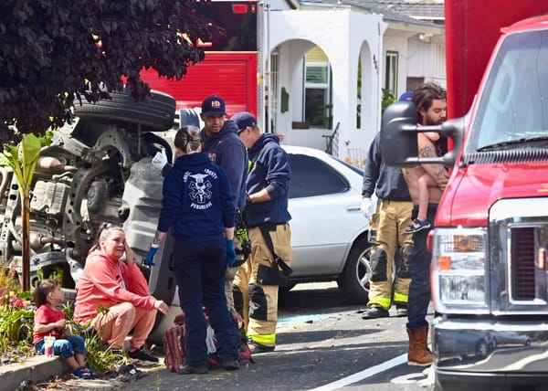 Hit-and-run on Esmond Avenue injures four