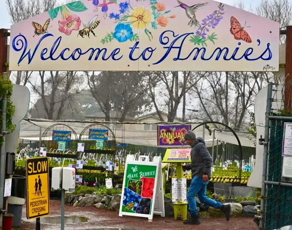  Annie’s Annuals and Perennials